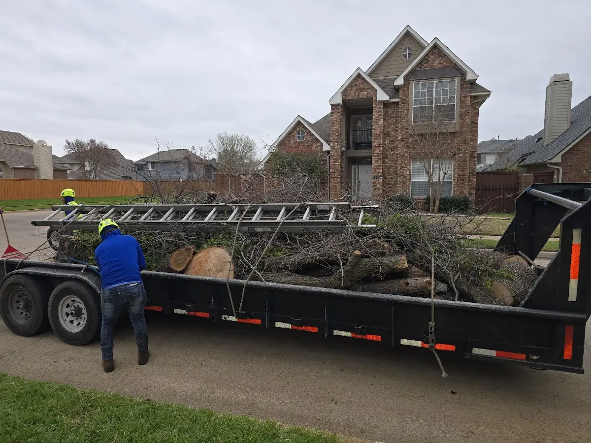Expert Tree Fertilization with proper safety equipment in Argyle